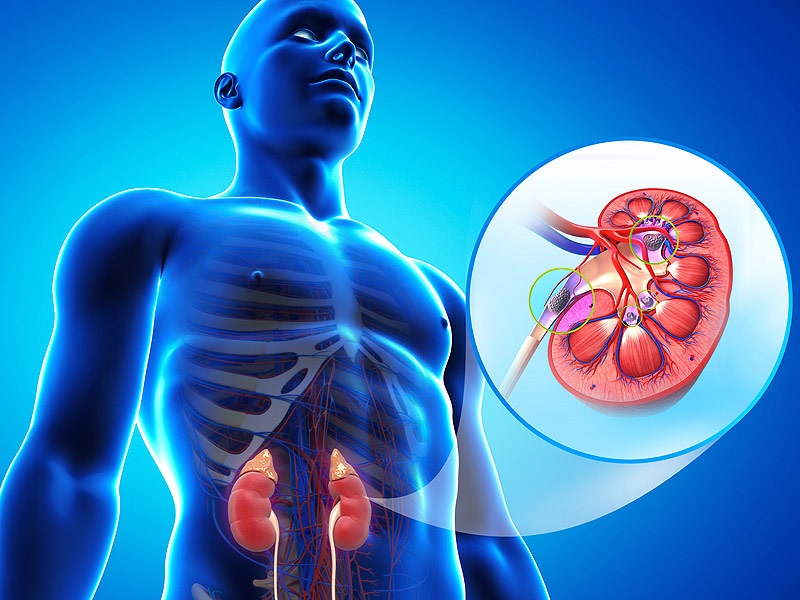 How To Avoid A Heart Attack Or Stroke According To WHO?