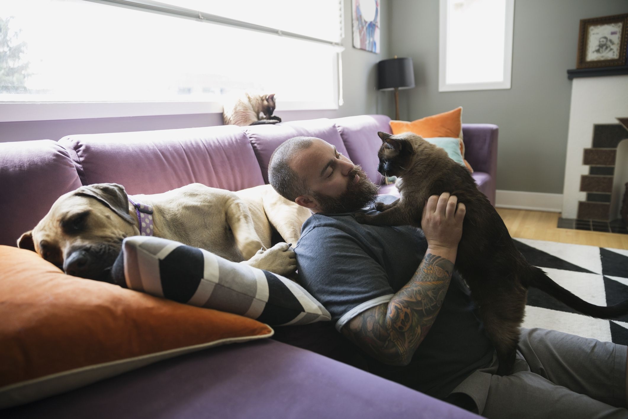 How dogs help improve your physical and mental health