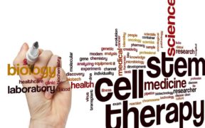 Stem Cell Therapy