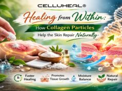 Healing from Within: How Collagen Particles Help the Skin Repair Naturally