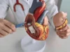 Tissue Valve Replacement or Mechanical Valve: Durability, Blood Thinners, Age and How to Decide With Your Cardiologist